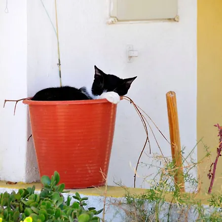 Villa Charming Casa 832a 3 Bedrooms