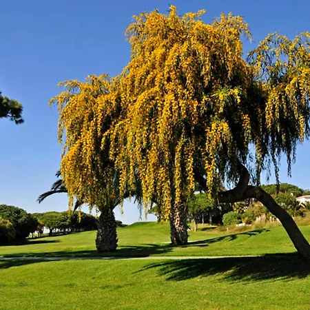 Villa Charming Casa 832a 3 Bedrooms *