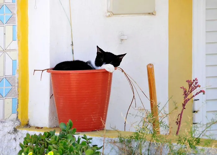 Willa Charming Casa 832a 3 Bedrooms