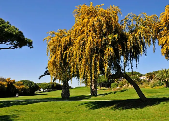 Willa Charming Casa 832a 3 Bedrooms *